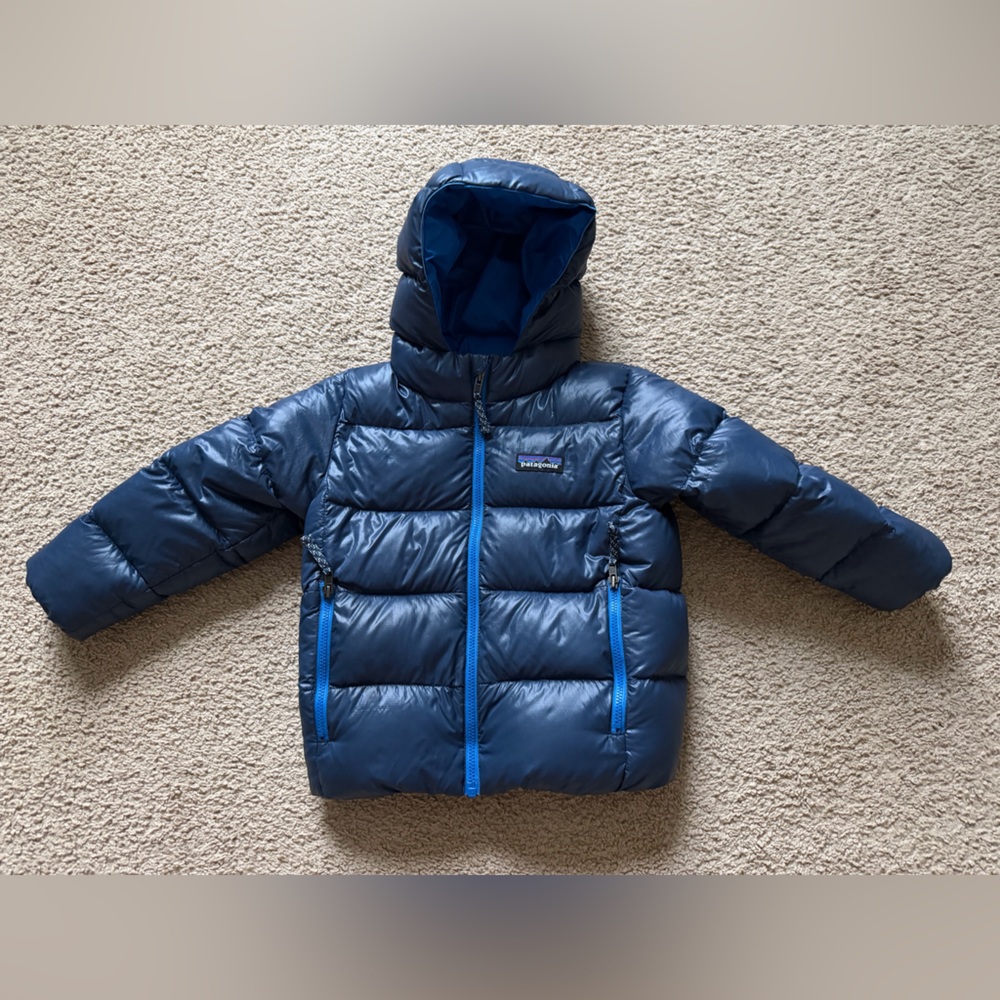 Patagonia Hi-Loft Down Puffer Jacket
